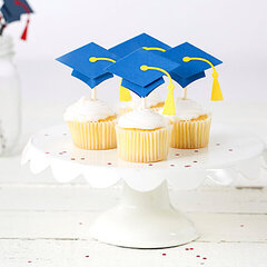 FSJ Graduation Cupcake Toppers with FSJ