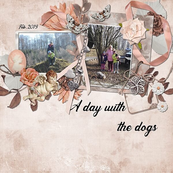 A day with the dogs