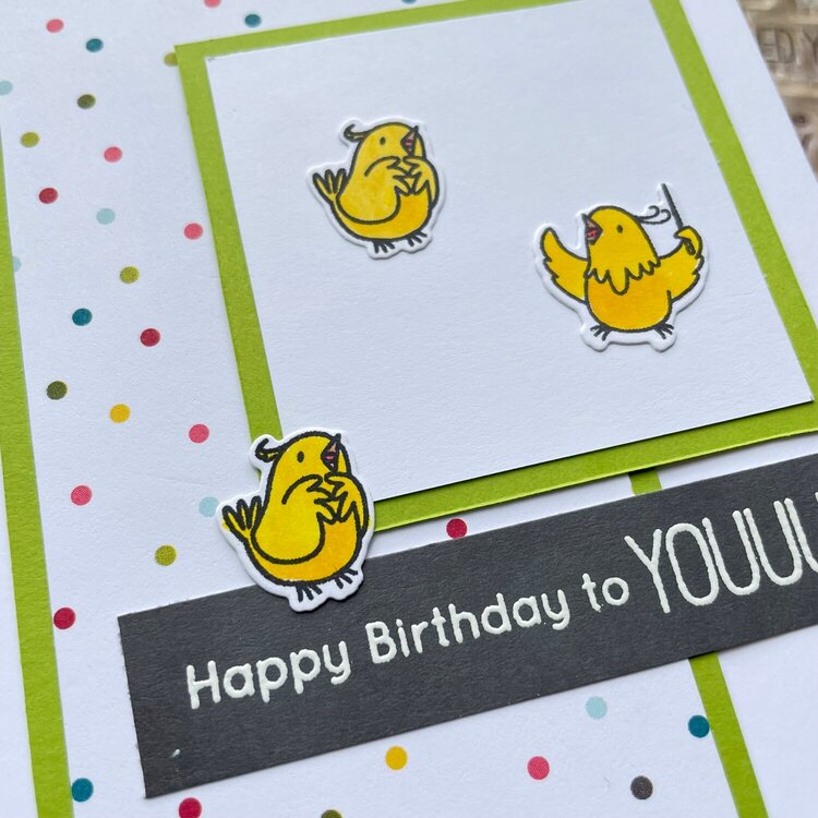 Chicks Singing Happy Birthday Card