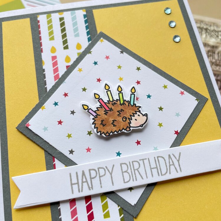 Hedgehog Birthday Wishes