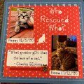 Who Rescued Who?