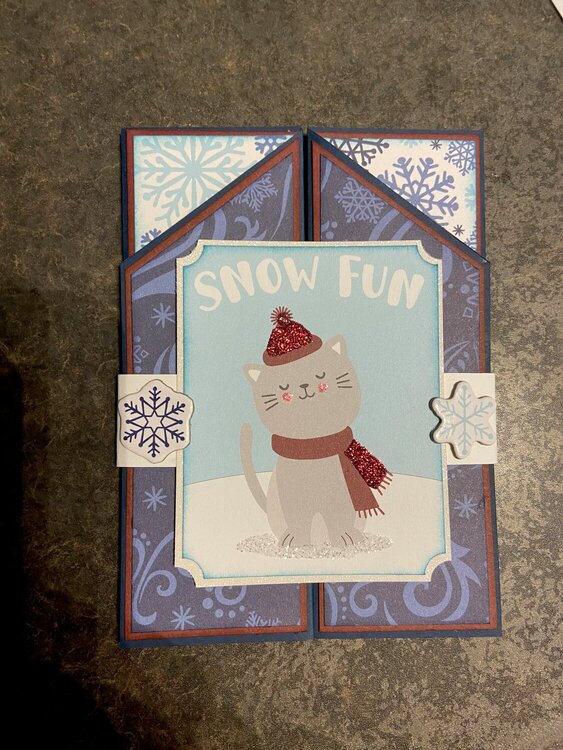 Snow Fun Kitty