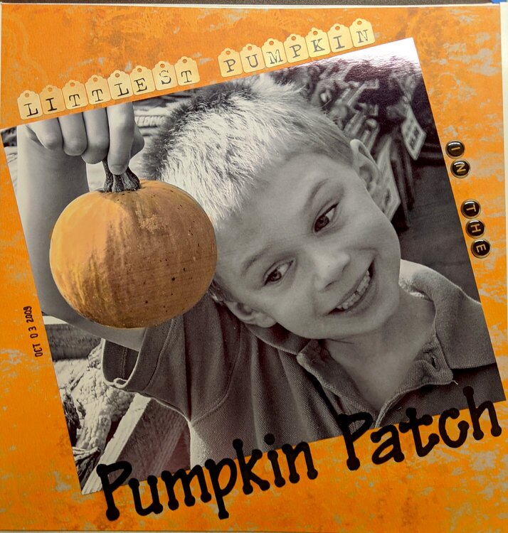 Littlest Pumpkin in the Pumpkin Patch