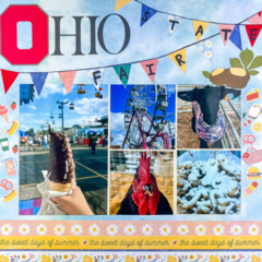 Ohio State Fair