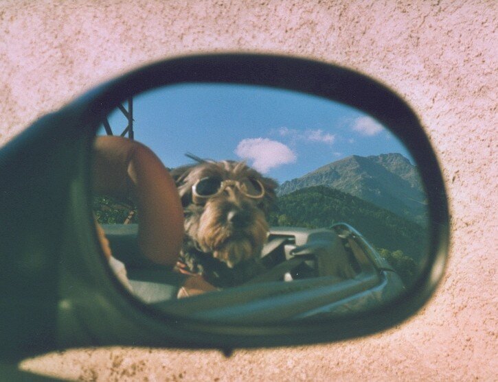 Rearview mirror; ride in the Alps
