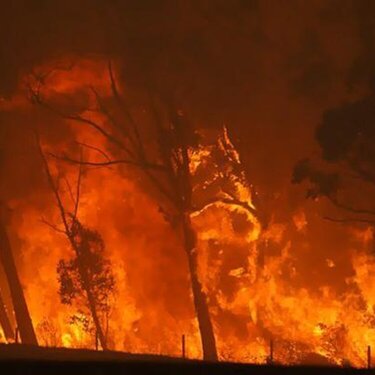Flames The Devastating Wildfire in Victoria Australia