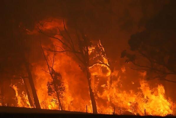Flames The Devastating Wildfire in Victoria Australia