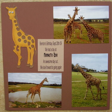 Monarto Zoo ~ Giraffes
