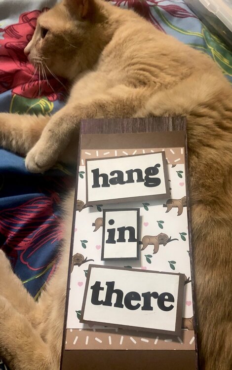 Hang in There