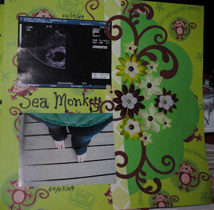 Our Little Sea Monkey 2