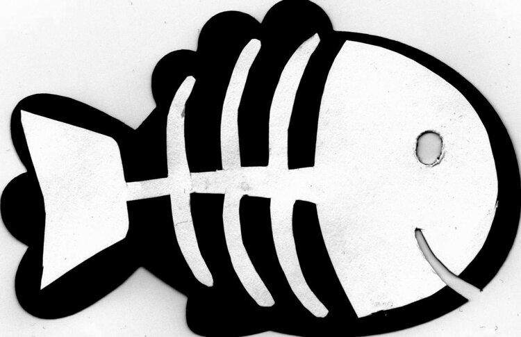 X-Ray fish