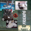 Our Furry Friends
