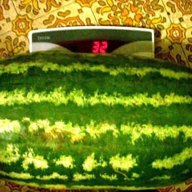 32 pound Ruush Springs watermelon!  I love summer!