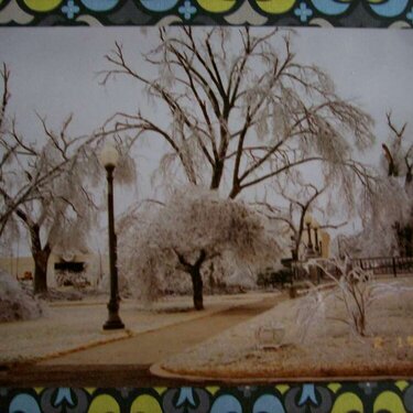 Close up of 2002 ice storm
