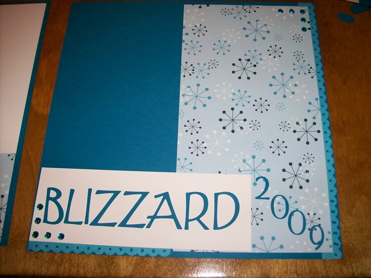 Blizzard 2009