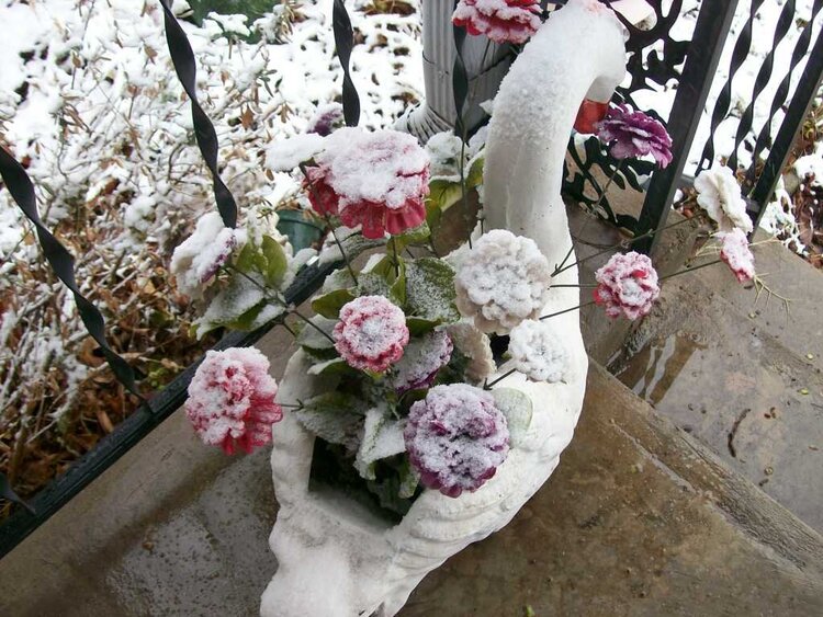 Snowfall  2009