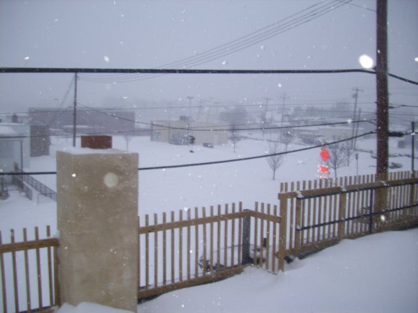 Snow Dec 2009