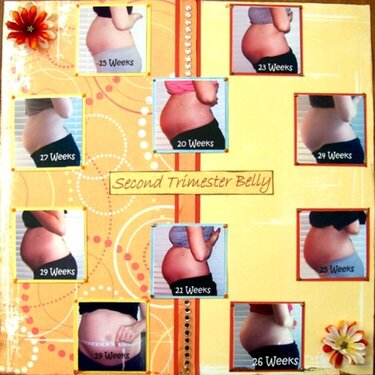 Second Trimester Belly