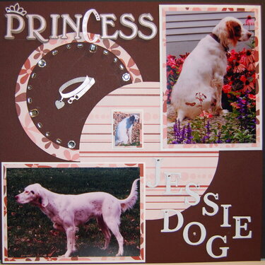 Princess Jessie Dog