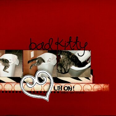 bad kitty