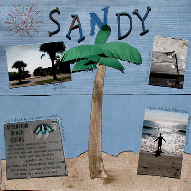 Sandy Beaches -- right