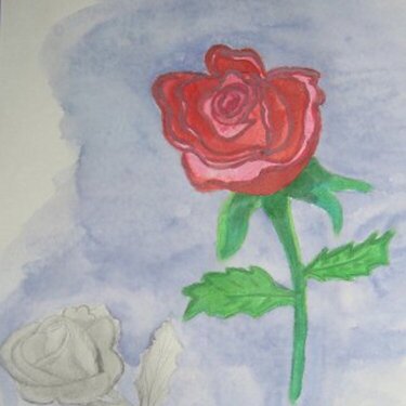 watercolor rose