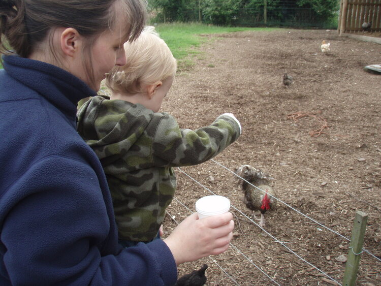 At the Farm