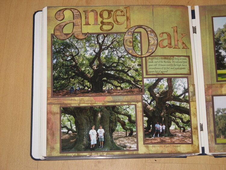Angel Oak