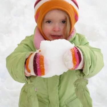 Lexi&#039;s Snowball