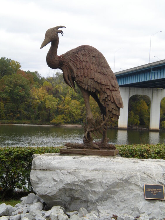 The Great Blue Heron &amp; Olive Branch POD 10/29