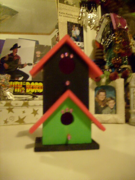 Black, Pink, and Green Birdhouse