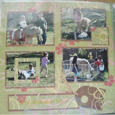 Petting Zoo - Bday - 2005