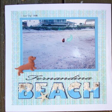 Fernandina Beach - Super Dog - 2002