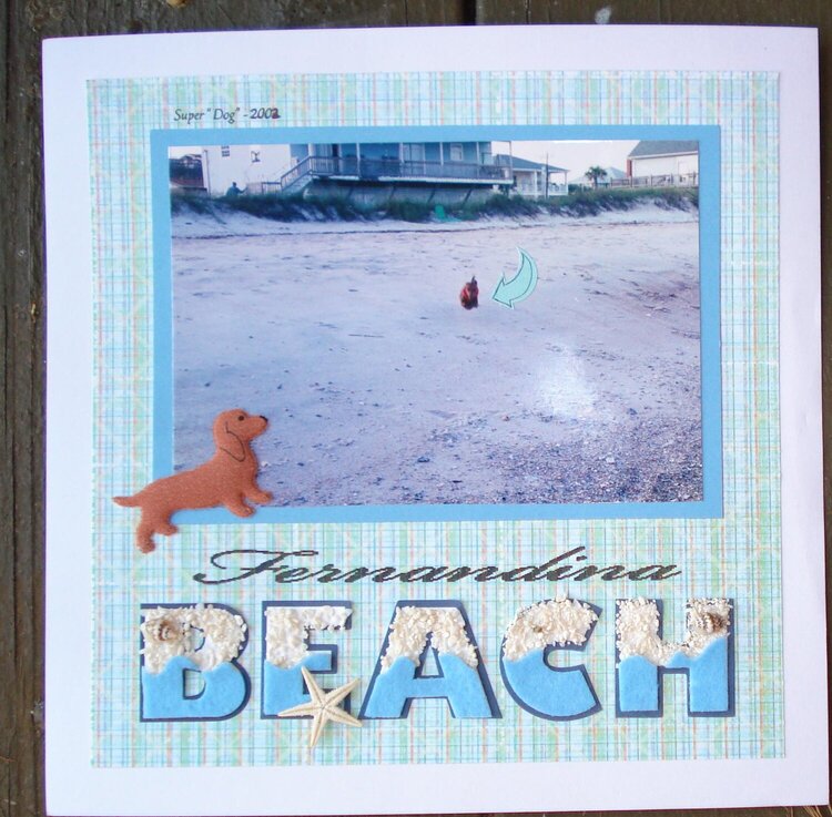 Fernandina Beach - Super Dog - 2002