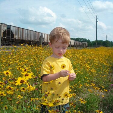 Hayden - flowers/train