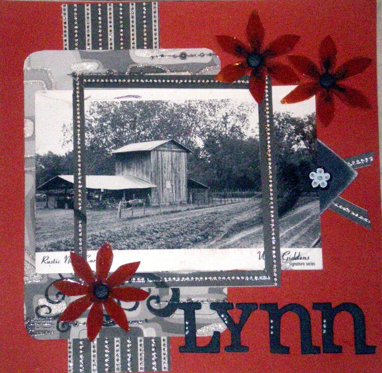 Lynn&#039;s  Postcard