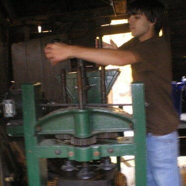 Pressing the pulp #6