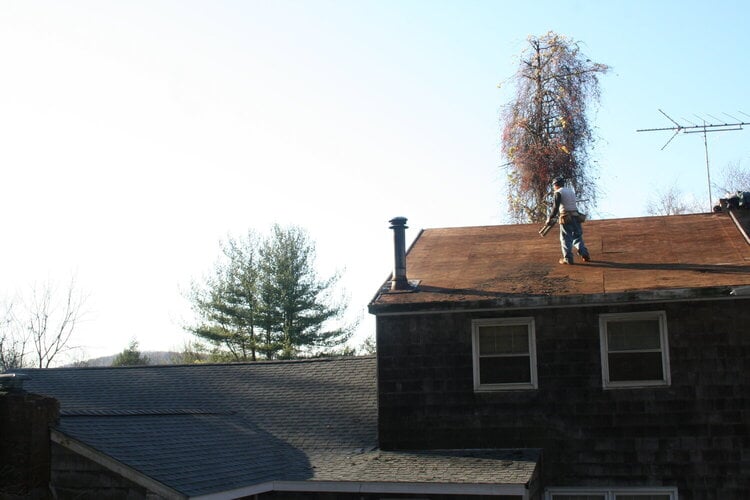 A New Roof/ mini #4 Danger