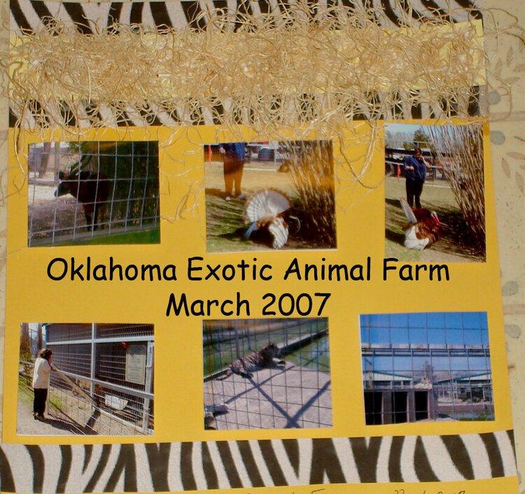 Oklahoma Exotic Animal Farm