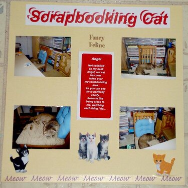 Scrapbooking Cat