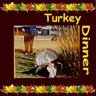Turkey Dinner