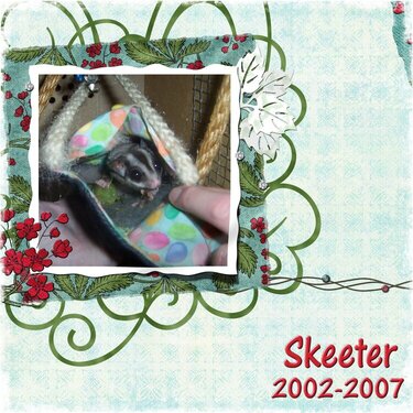 My Poor Skeeter