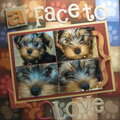 A Face to love
