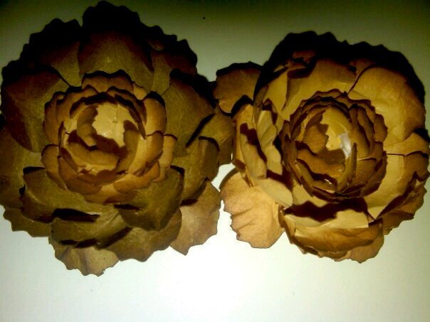Tan and Beige Flowers
