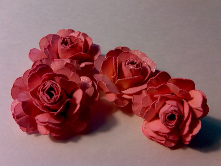 Pink Mini roses