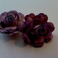 Purple mini rose