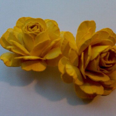 Yellow mini rose