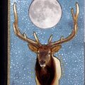 Composition Notebook: Hoof, Horn, and Moon