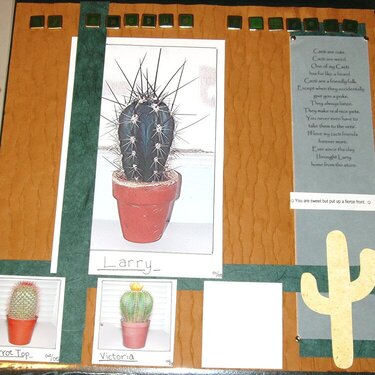 MY CACTI COLLECTION