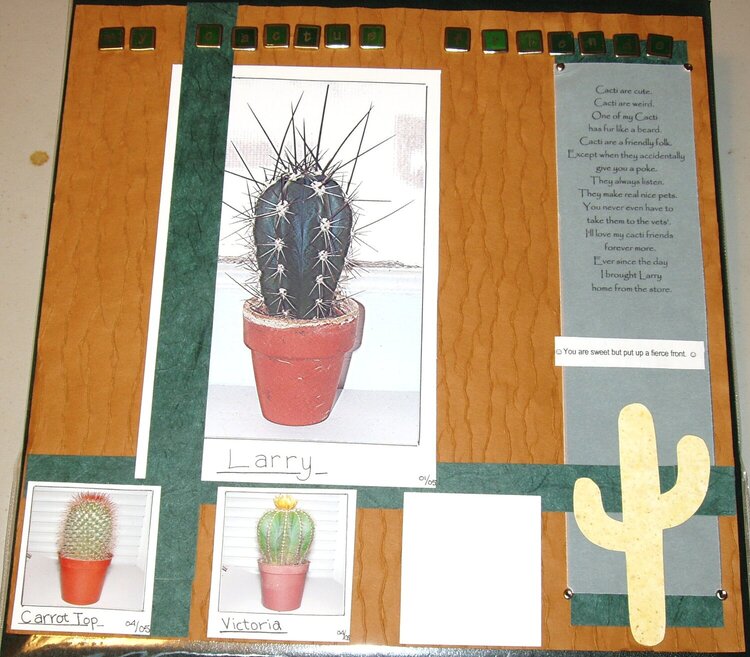 MY CACTI COLLECTION